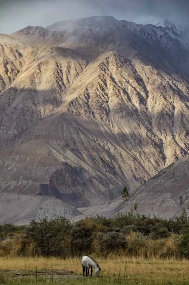 URJJOSSAN SAMANTA (LADAKH)
