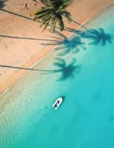 PRISTINE BEAUTY