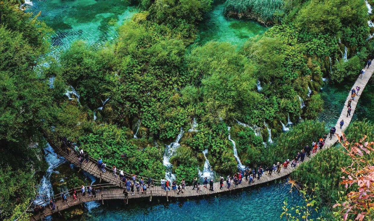 Waterfalls and a boardwalk among lakes in a forest