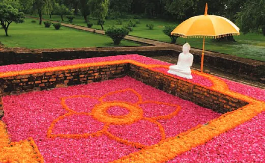 A carpet of flowers in a garden