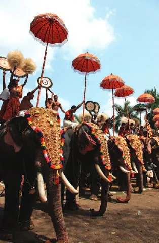 Caparisoned elephants carrying parasols at a temple festival