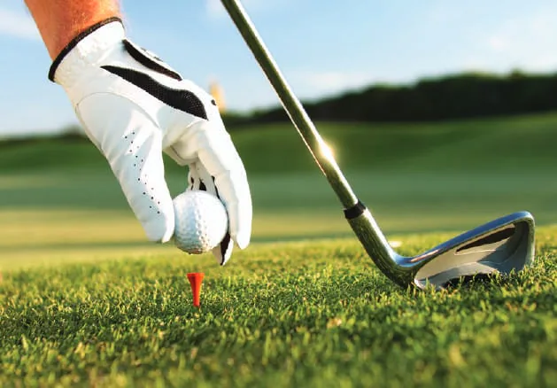 A golf club about to strike a ball on the grass
