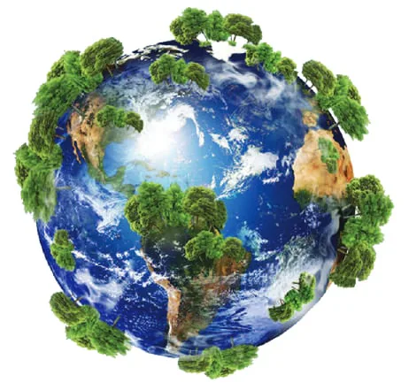 Illustration: a globe covered in trees