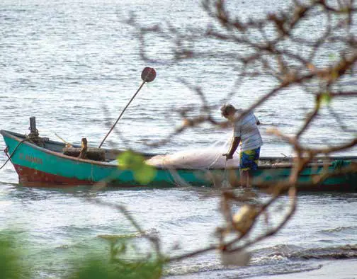 A fisherman on a small boat on the river, seen through bare branches