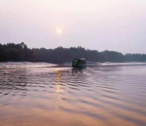 A boat on a still river at sunset, with mangrove forest along the bank