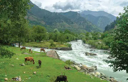 Horses grazing beside a fast-flowing river in a green valley