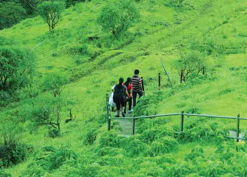 Trekkers walking in single file across green grassland