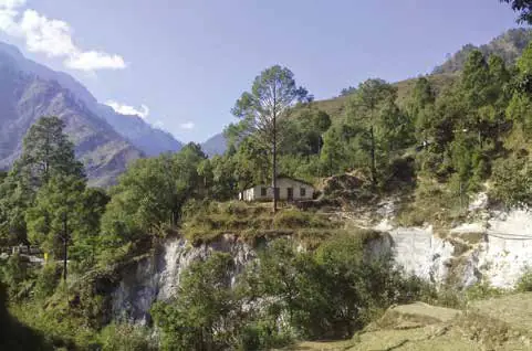 Pine-covered slopes beneath distant mountains