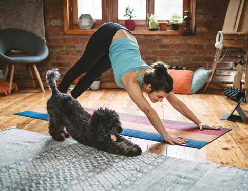 A woman in a yoga pose beside a black dog on a mat