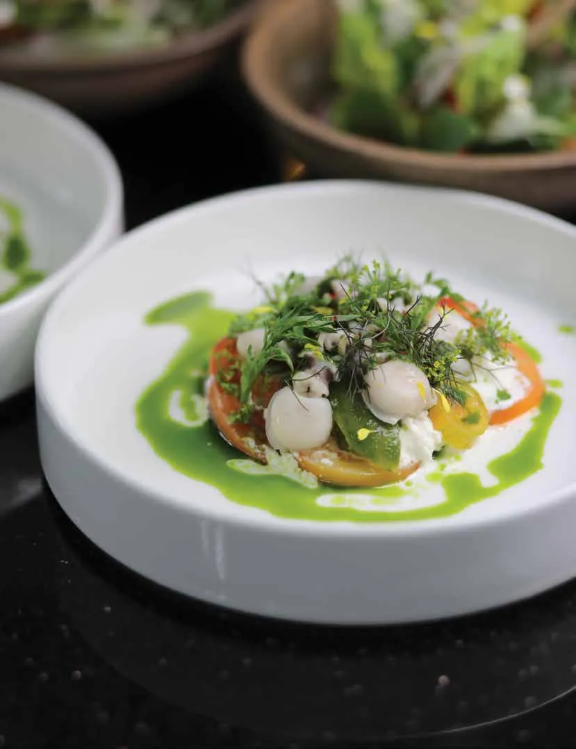 A plated contemporary dish with fresh herbs and a green sauce