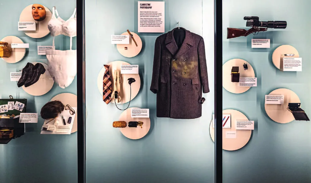 Exhibits in glass cases at a museum