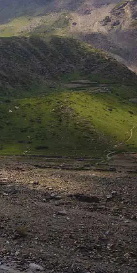 A narrow view of a green hillside