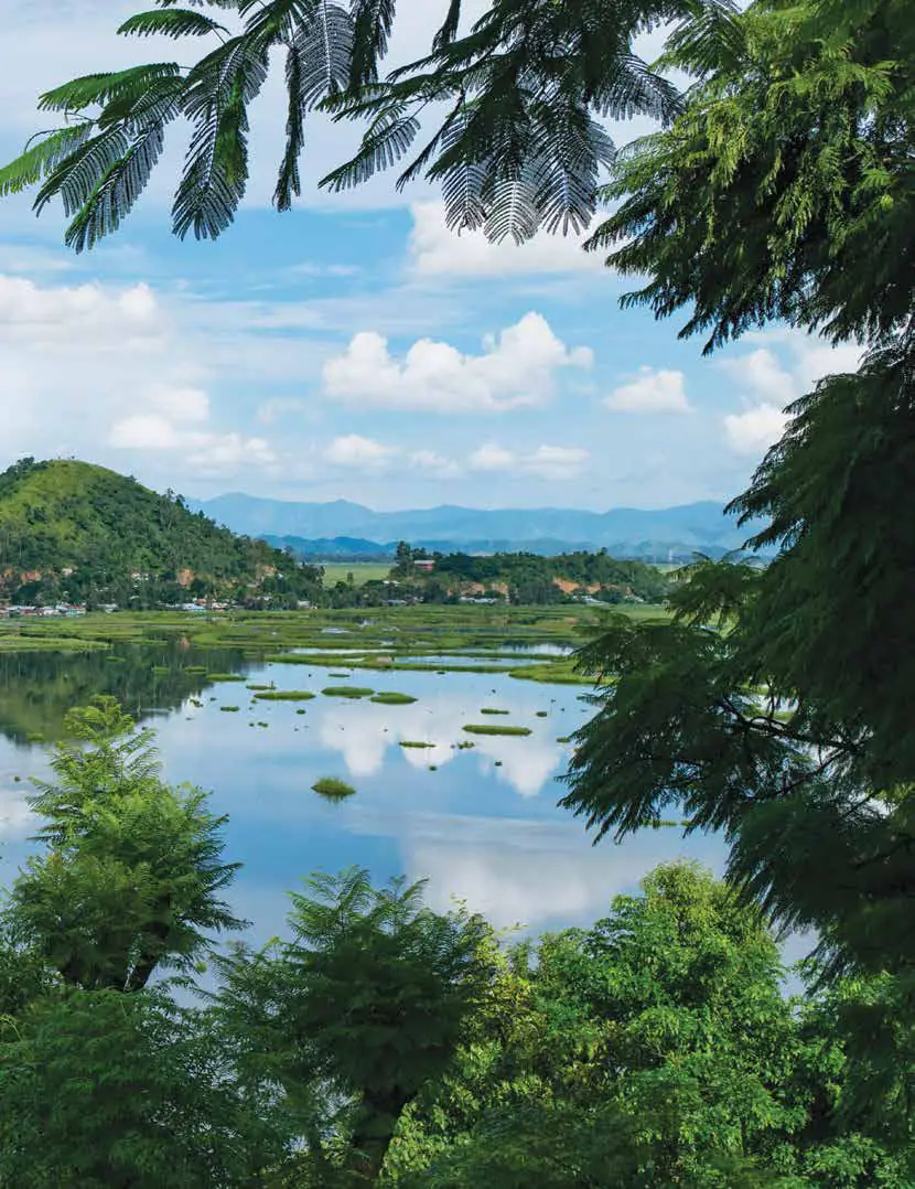 A lake dotted with floating vegetation, seen through trees