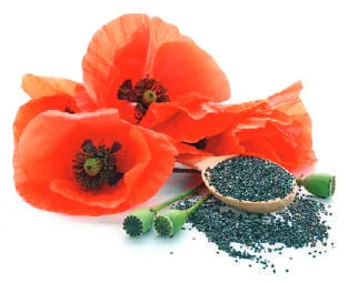 Red poppies beside a scoop of poppy seeds