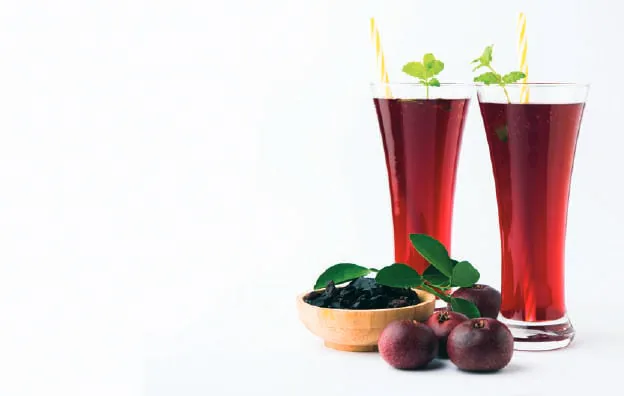 Two glasses of a dark red summer drink