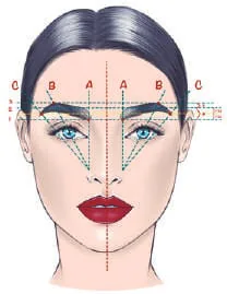 Illustration: a face mapped for brow shaping