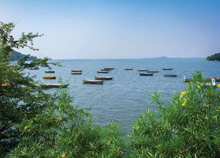 Boats on a lake, seen through trees