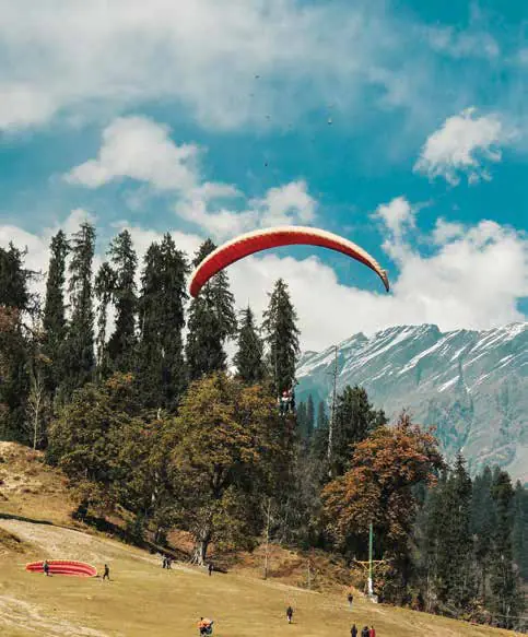 A paraglider above a pine forest and meadow, with snowy peaks behind