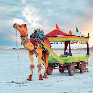 A decorated camel cart on the salt desert
