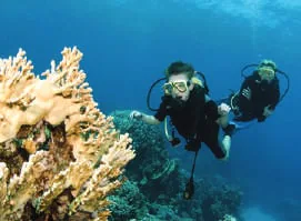 Scuba divers beside a coral reef
