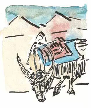 Watercolour sketch of a yak