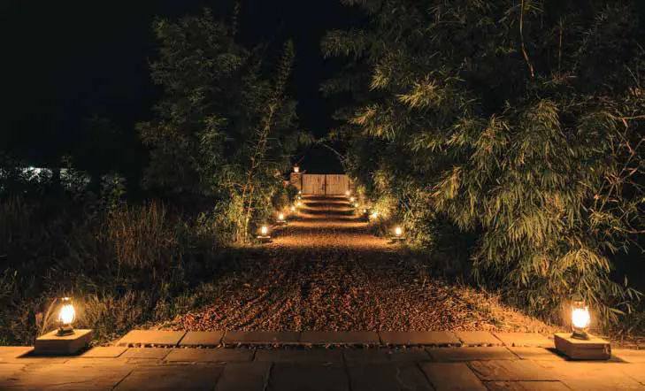A lamp-lit path through a garden at night