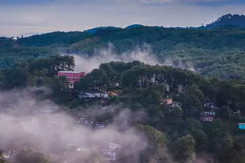 Mist rising over forested hills and houses