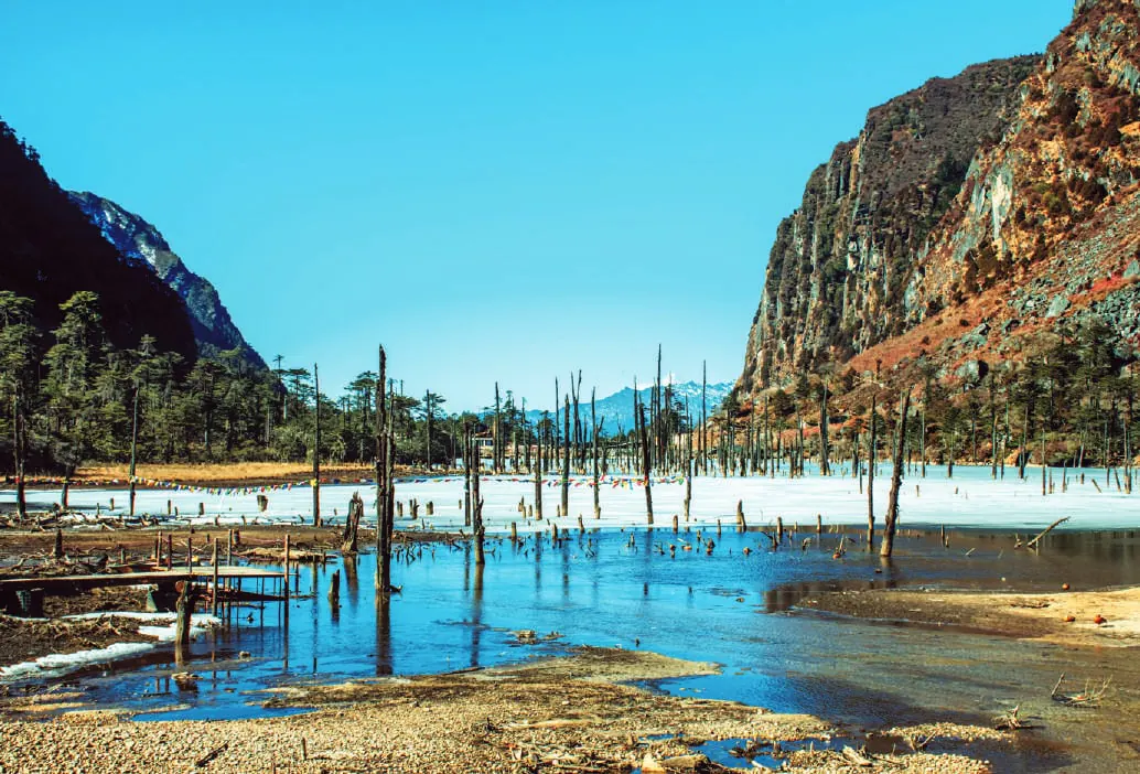 A frozen lake with dead tree trunks, below mountains
