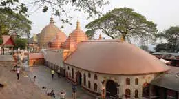 A domed temple complex seen from above, among trees