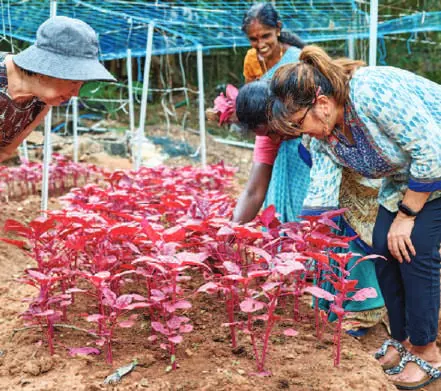 Guests looking at red plants in a garden