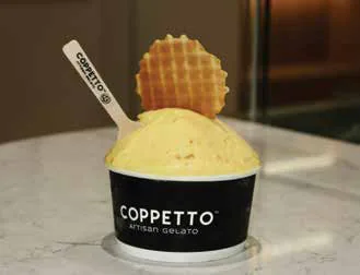 A cup of gelato topped with a wafer