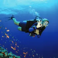 A diver among fish in blue water