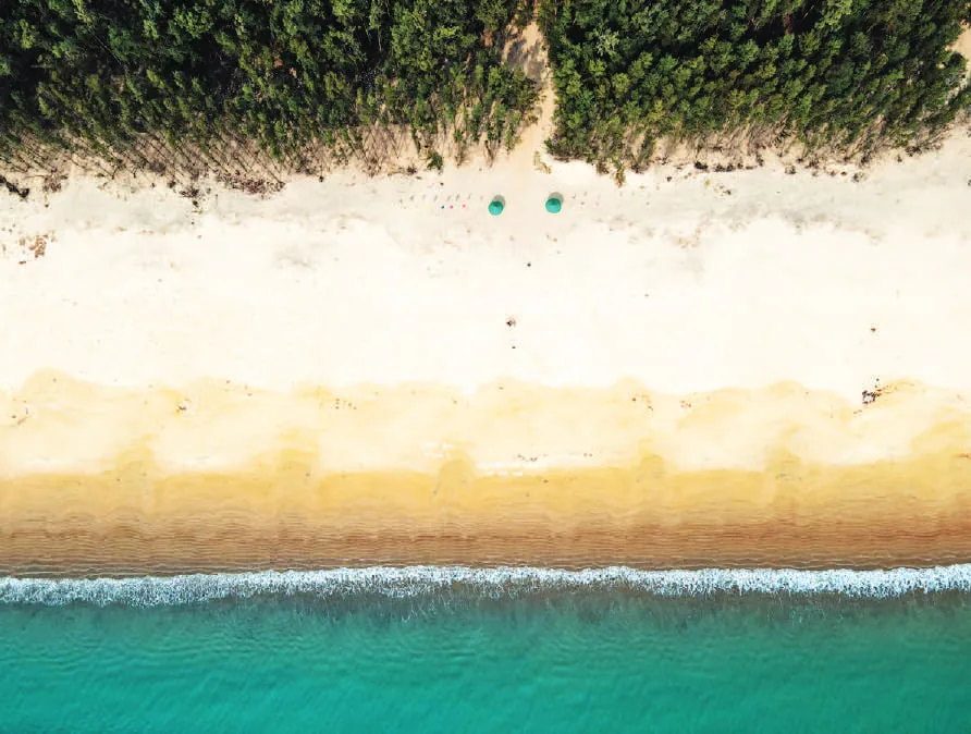An aerial view of a sandy beach and surf
